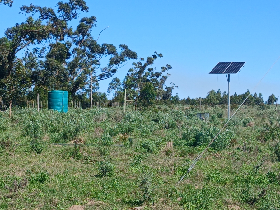 2 Bedroom Property for Sale in Stutterheim Rural Eastern Cape